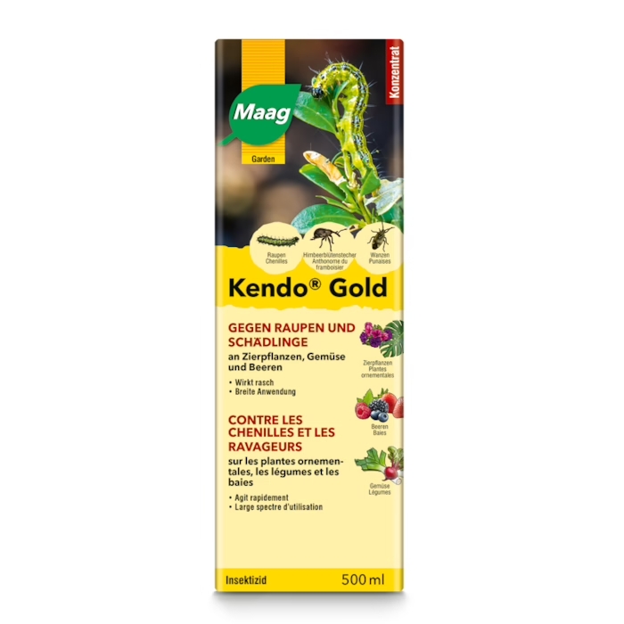 Kendo Gold, 500g - Maag 