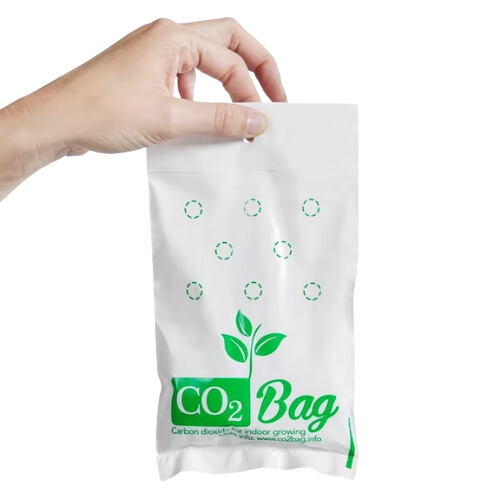 Co2 Bag - Original