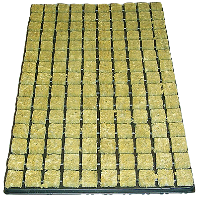 Stecklings-Tray, 25 x 25 mm, 150 stk